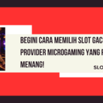 Provider Microgaming