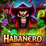 Provider Slot Habanero